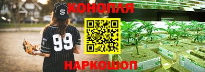 прущие крисы Новодвинск